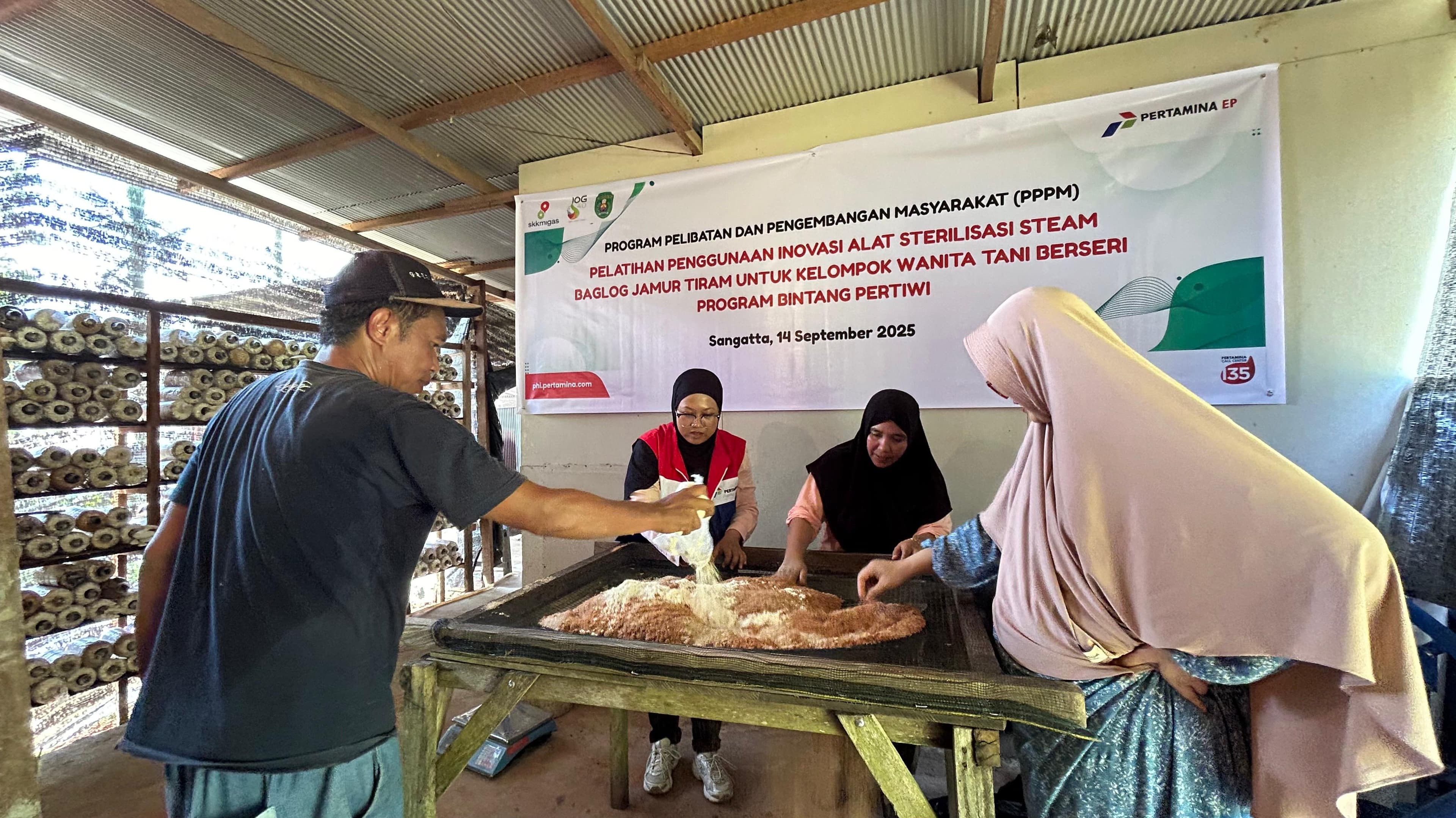 Sterilisasi Baglog Jamur Tiram